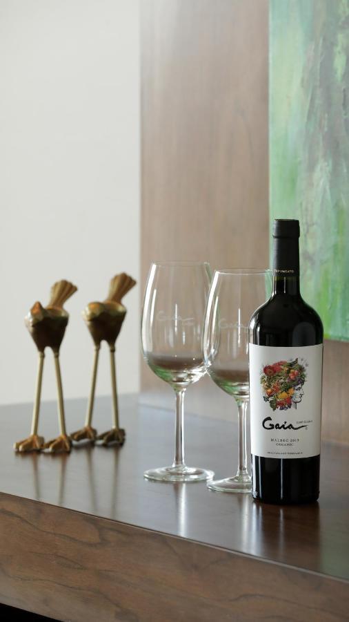 Gaia Lodge Tupungato Luaran gambar
